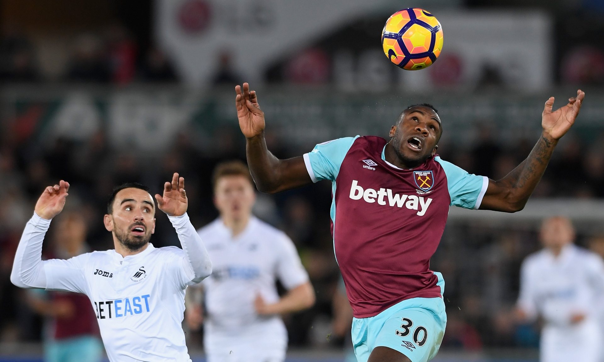 球迷们一直 球迷们一直